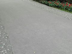 -靖宇公园