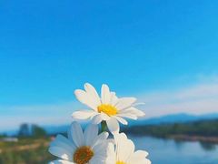 -兄弟俩老李家牛肉汤(总店)