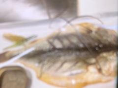 -赶海部落海鲜城(海阳路店)