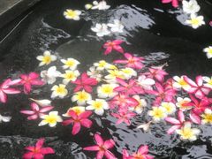 -厦门日月谷温泉渡假村