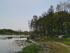 -贡湖湾湿地公园