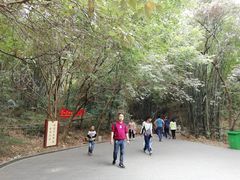-羚羊峡古栈道森林公园