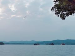 -杭州西湖柳莺里酒店