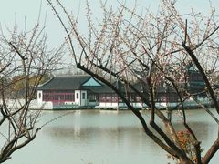 android_upload_pic-上海海湾国家森林公园