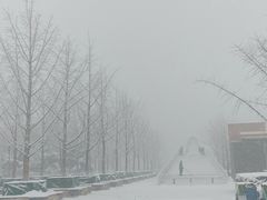 -大兴滨河森林公园