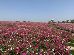 -歌斐颂巧克力小镇