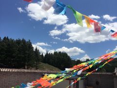 -塞罕坝国家级自然保护区