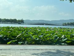 -西湖天地