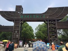 -溱湖国家湿地公园