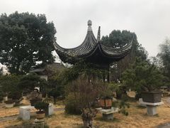 -万景茶庄·台州菜