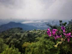 -紫金山山顶公园