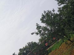 -武汉紫薇都市田园