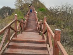 -大岭沟猕猴桃谷风景区