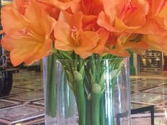 -碧桂园凤凰城酒店(南京店)