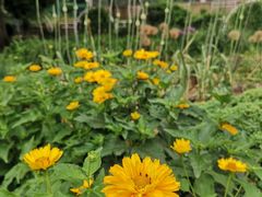 -国家植物园南园