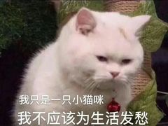 -湖畔居茶楼(湖滨店)