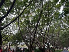 -白鹭洲公园