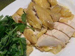 正宗农家白切鸡-黄B湛江鸡饭店(粤垦路店)