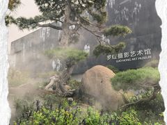 -罗红摄影艺术馆