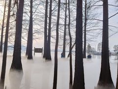 -东湖落雁景区