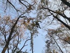 -WeLope紫金山探险公园