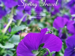 -北京国际鲜花港