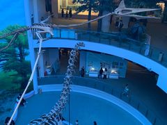 -辽宁古生物博物馆