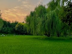 -北坞公园