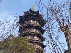 -洋湖国家湿地公园