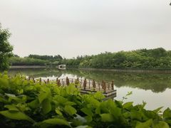 -塘沽森林公园