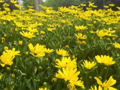 -苏州河梦清园环保主题公园