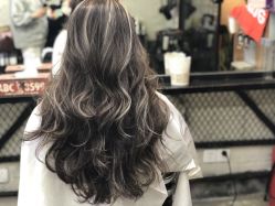 点击看大图 -SALON V