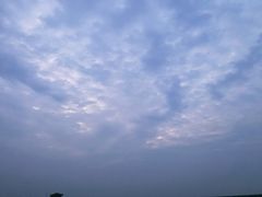 -碧海金沙