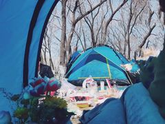 -长白岛森林公园