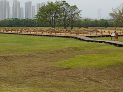 -盘龙城国家考古遗址公园