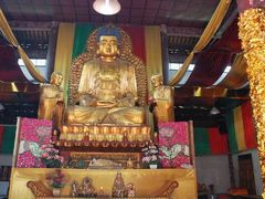 -亭林园-华藏寺