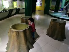 -上海昆虫博物馆