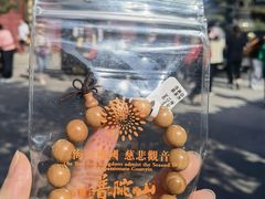 -普陀山风景区-佛顶山