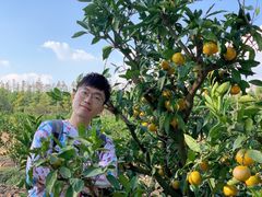 -上海长兴岛郊野公园