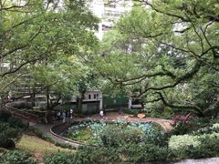 -香港大学