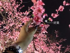 -大雁塔北广场音乐喷泉