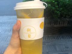 阳光之吻-树夏(建设路店)