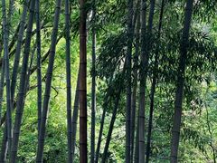 -敬亭山风景名胜区