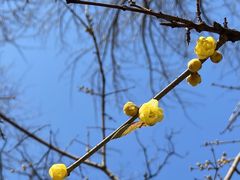 -北京大学百年讲堂