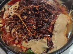 -曹宝林砂锅麻辣烫(星光路店)
