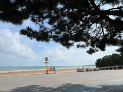 -日照海滨国家森林公园