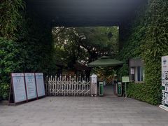 -华侨城湿地公园