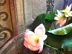 -韵秋荷(宝山龙湖天街店)