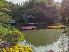 -汇龙潭