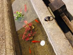 -中央广播电视总台(光华路办公区)